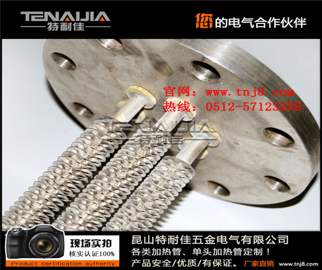 水箱法蘭式電加熱管