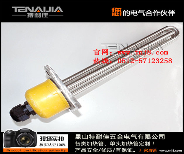 防爆法蘭電加熱管