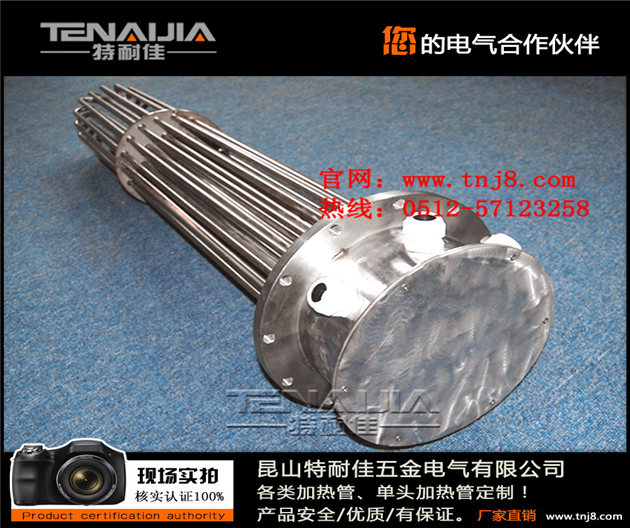 大功率鍋爐電加熱管